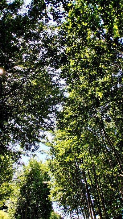 Wojsławickie Klimaty - galeria zdjęć